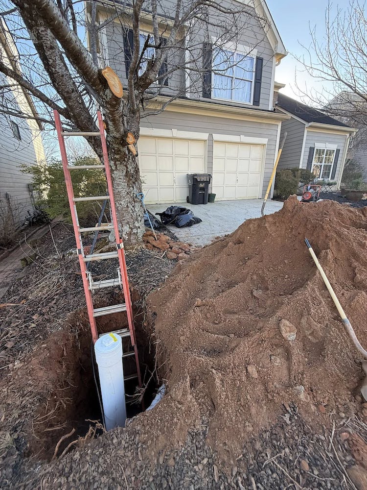 Tree Root Interfering with Sewer Lines